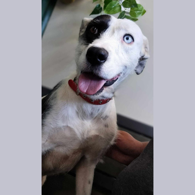 Photo of Lily