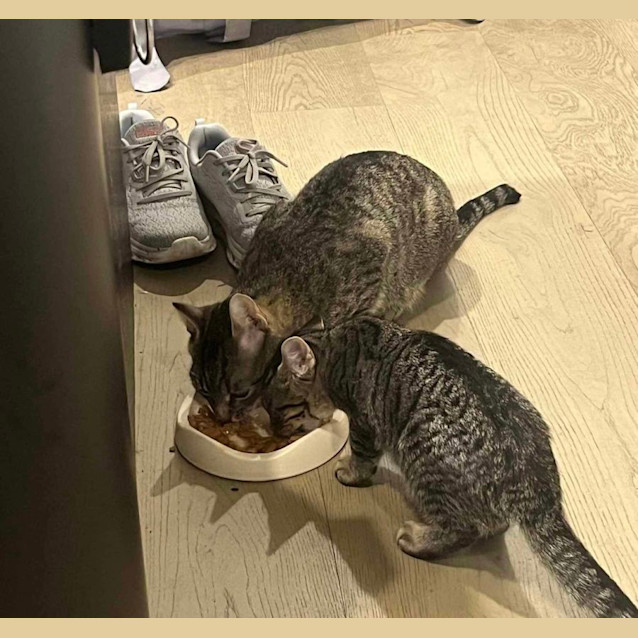 Photo of Mable & May