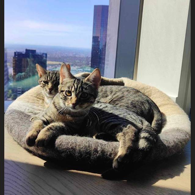 Photo of Mable & May