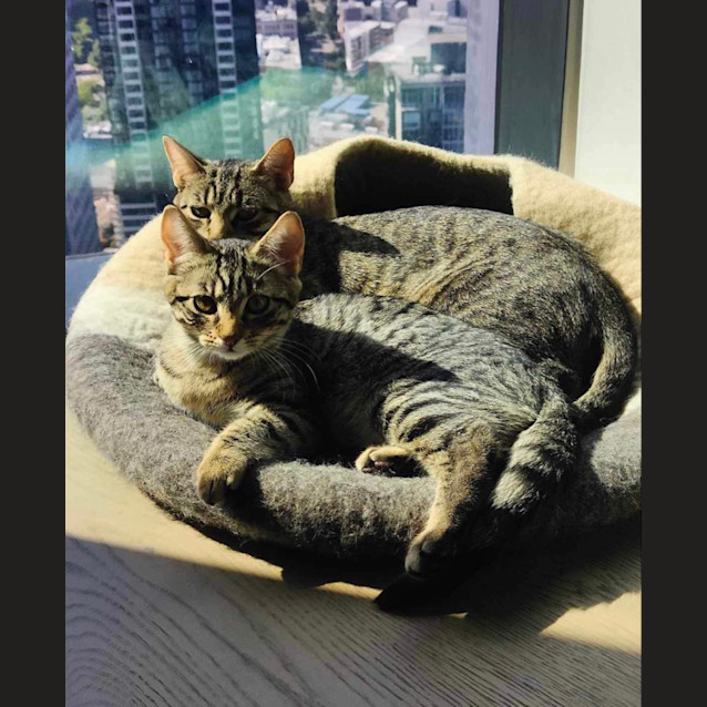 Photo of Mable & May