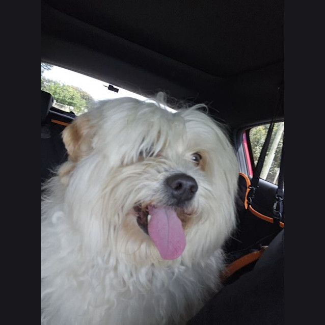 Photo of Ernie Babbington