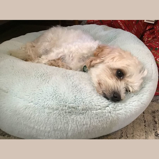 Photo of Ernie Babbington