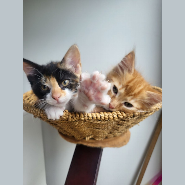 Photo of Jemma & Jeffrey 🌸🐈‍⬛
