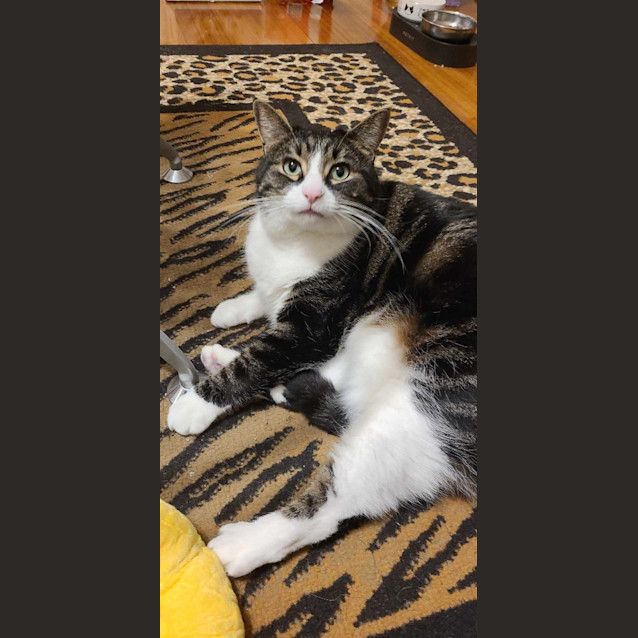 Photo of Clara