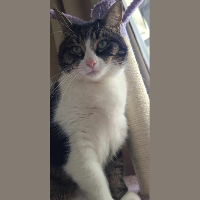 Photo of Clara
