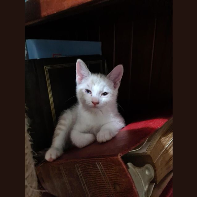 Photo of Lilah