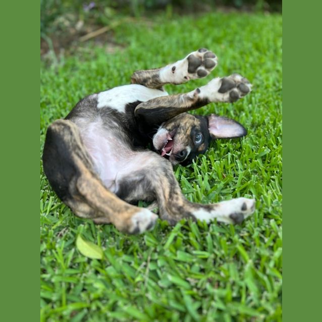 Photo of Dita 