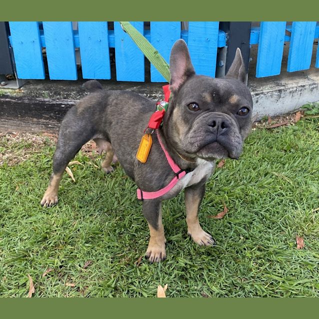 Photo of Bonnie