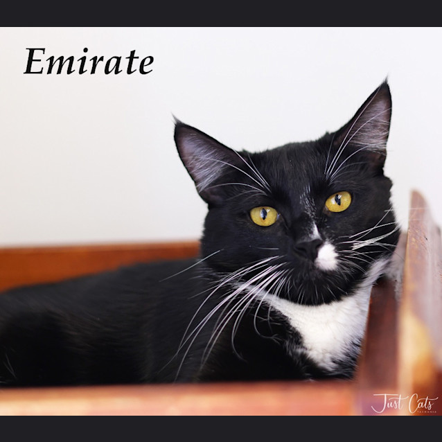 Photo of Emirate