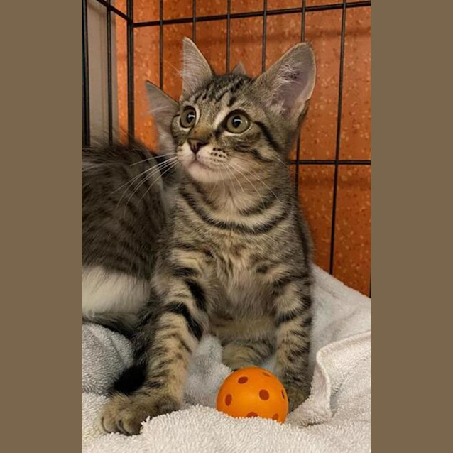 Photo of Tiggy