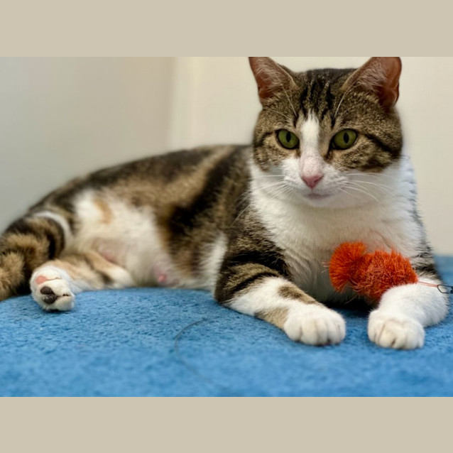 Photo of Mumma Dribbles 