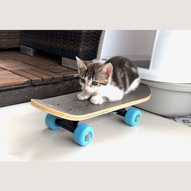 Photo of Sofie
