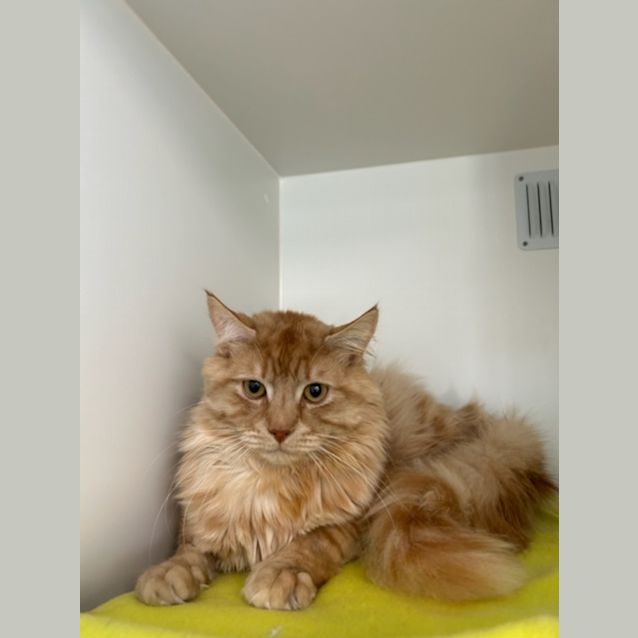 Photo of Alistair 