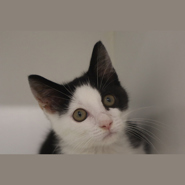 Photo of Harley