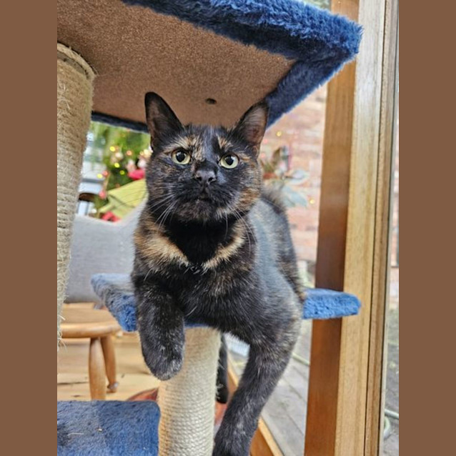 Photo of Sky And Shadow