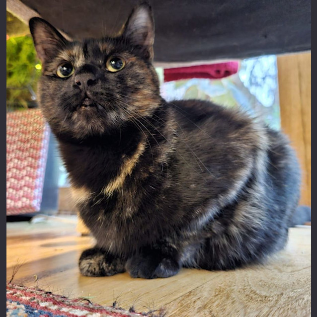 Photo of Sky And Shadow