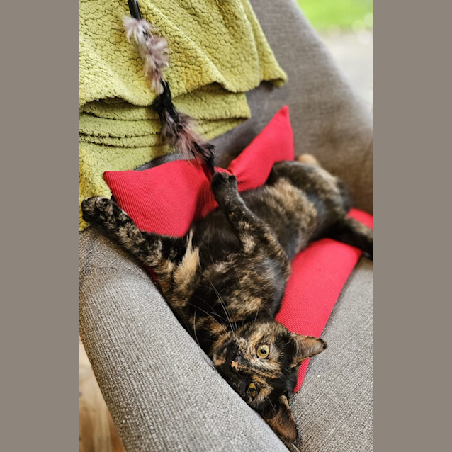 Photo of Sky And Shadow