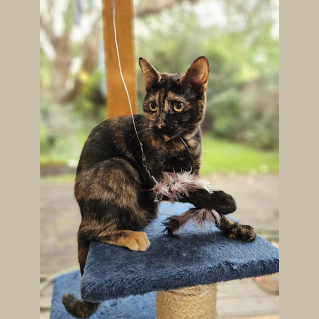 Photo of Sky And Shadow