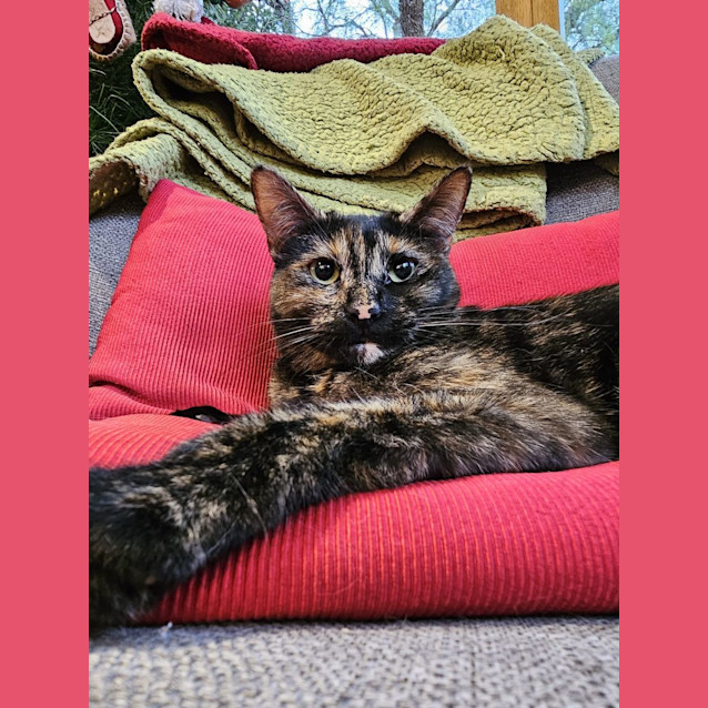 Photo of Sky And Shadow