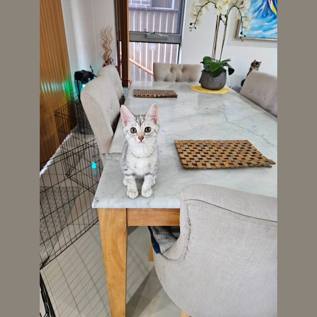 Photo of Sylvie