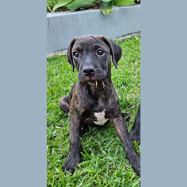 Photo of Beanie