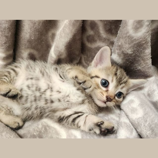 Photo of Rudolph 🦌🎅