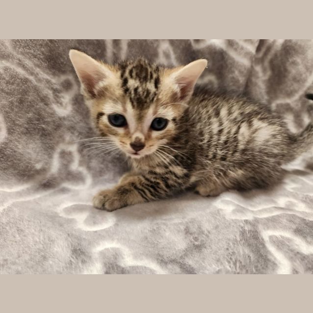 Photo of Rudolph 🦌🎅