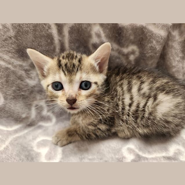 Photo of Rudolph 🦌🎅