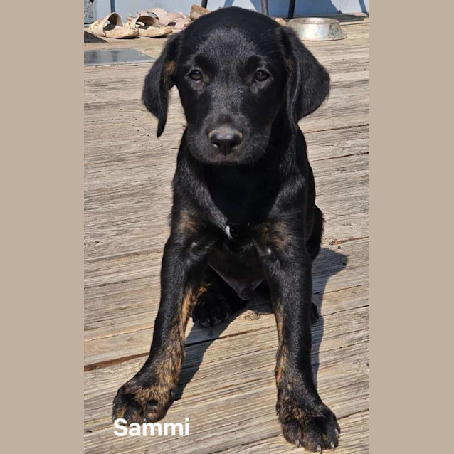 Photo of Sammi