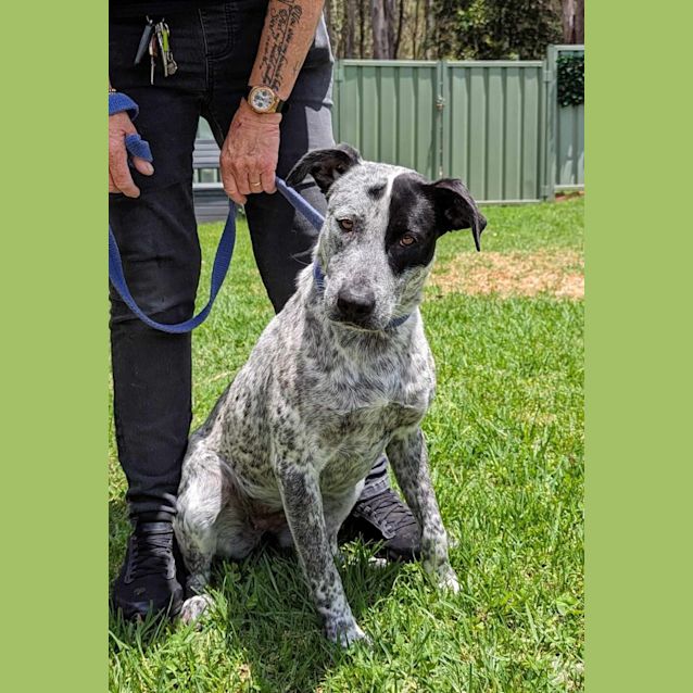 Photo of Dixie & Allie