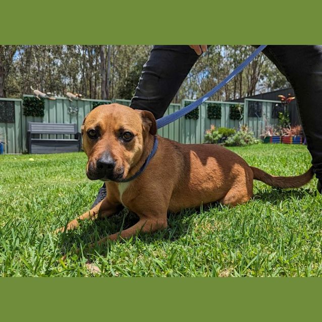 Photo of Dixie & Allie