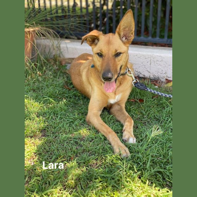 Photo of Lara