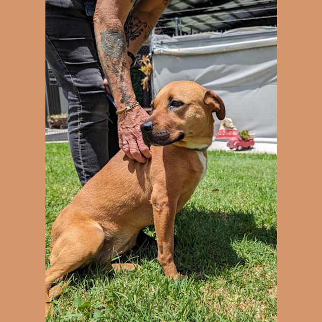 Photo of Allie & Dixie