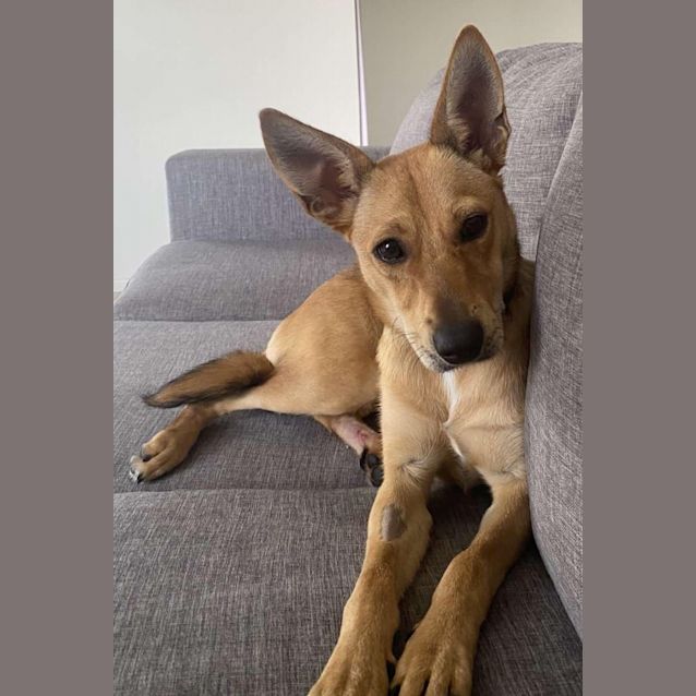 Photo of Hazel