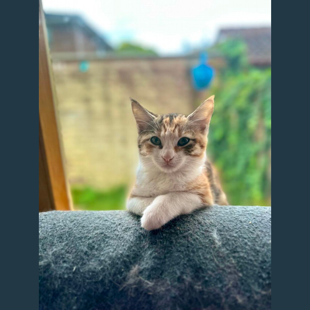 Photo of Harriet 👑