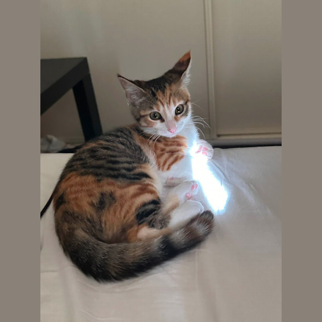 Photo of Harriet 👑