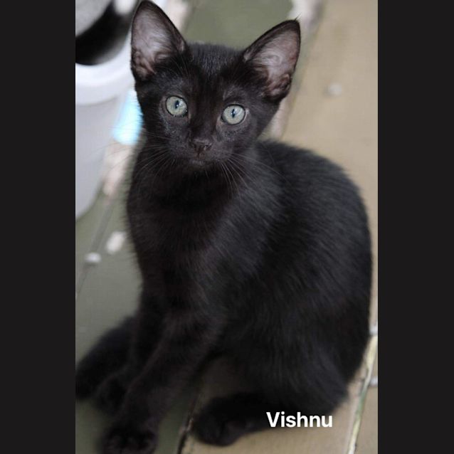 Photo of Vishnu