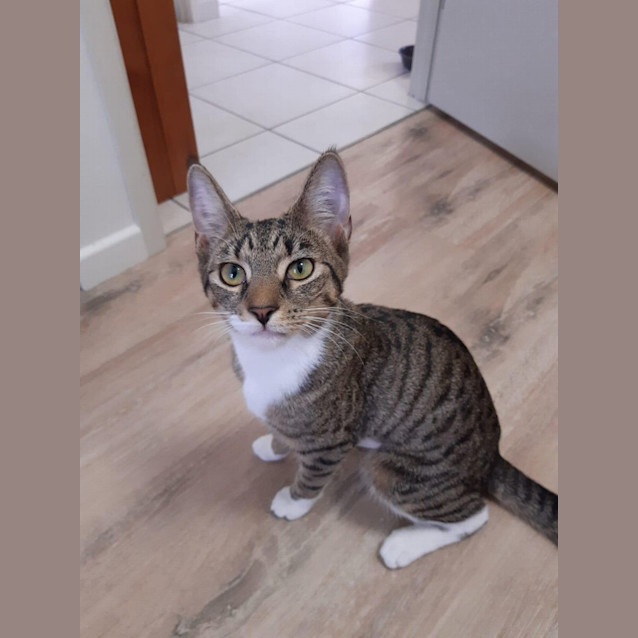 Photo of Angel