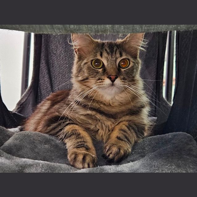 Photo of Ash