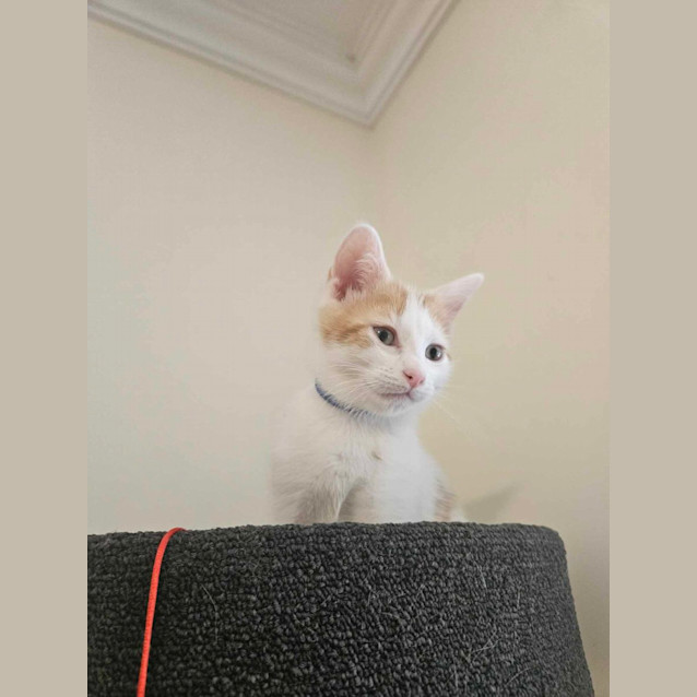 Photo of Princess Fergie