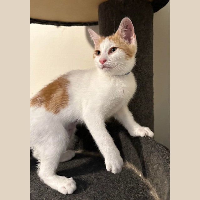 Photo of Princess Fergie