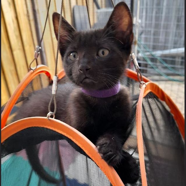 Photo of Ernie