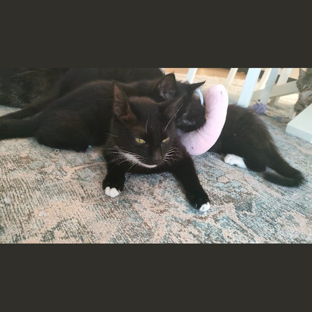 Photo of Janeway
