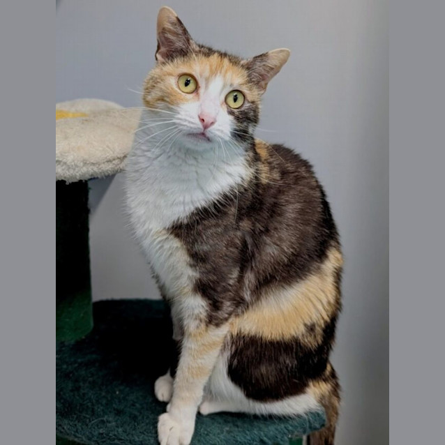 Photo of Cindy