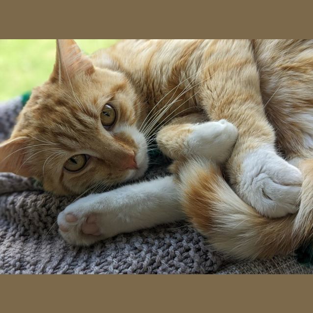 Photo of 🧡 Jamie F02700 🧡