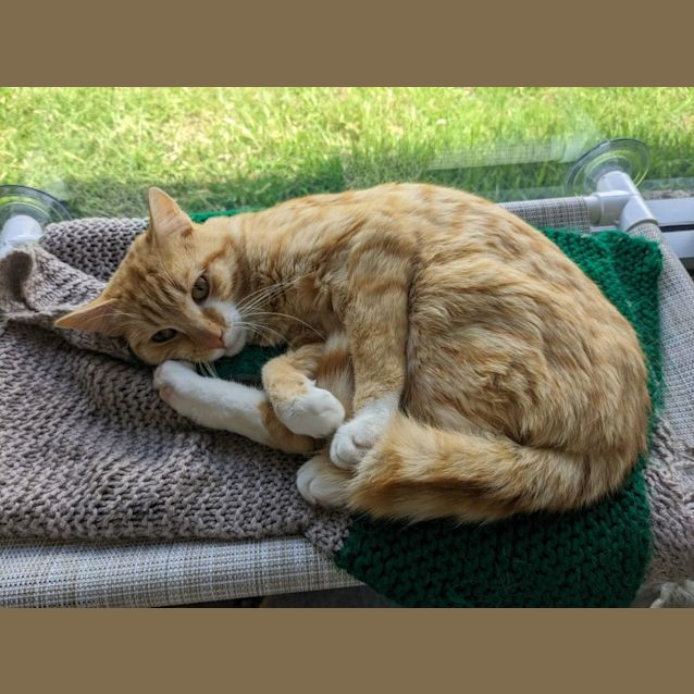 Photo of 🧡 Jamie F02700 🧡