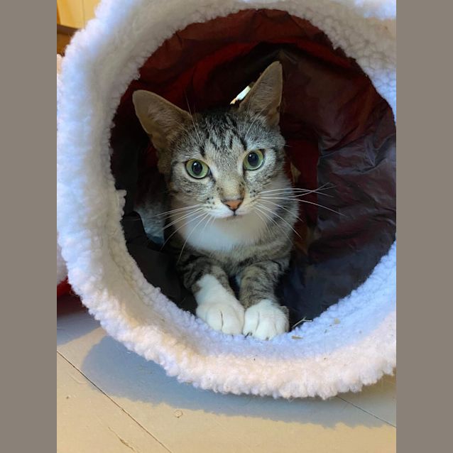 Photo of Luna