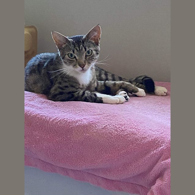 Photo of Luna
