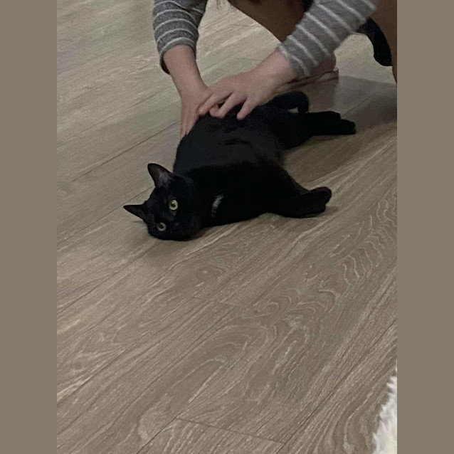 Photo of Gabe