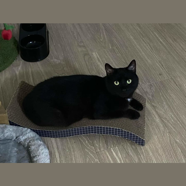 Photo of Gabe